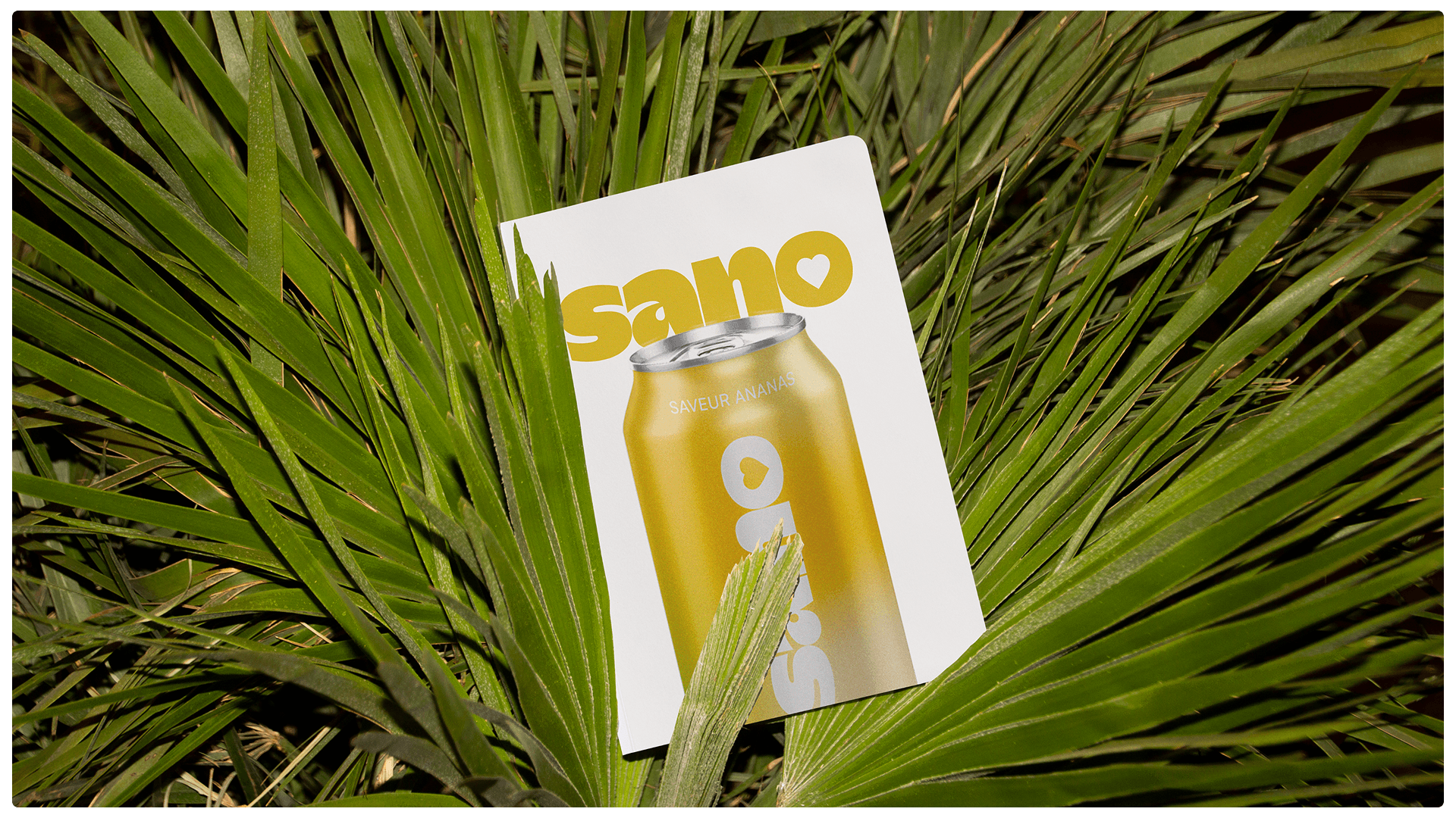 Sano — Le problème